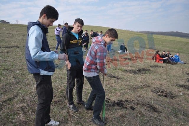 Actiune de plantare 20.04.2013 Dorohoi (13)