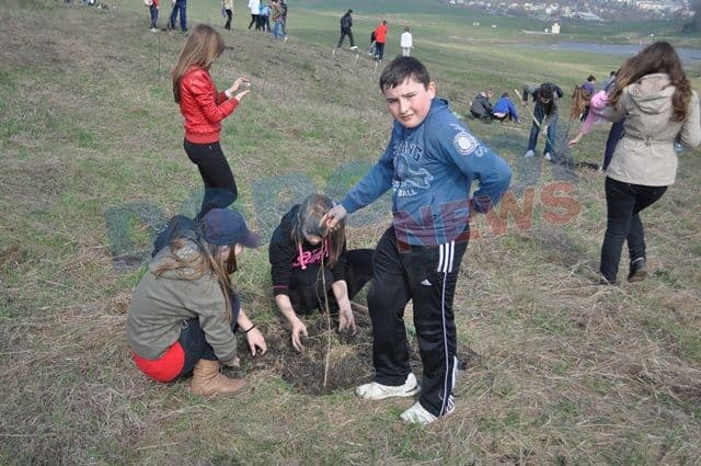 Actiune de plantare 20.04.2013 Dorohoi (14)