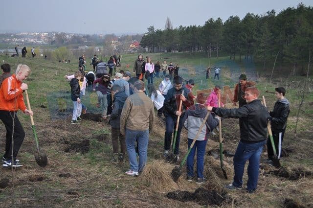 Actiune de plantare 20.04.2013 Dorohoi (15)