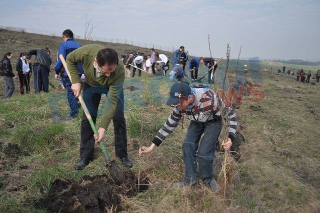 Actiune de plantare 20.04.2013 Dorohoi (16)