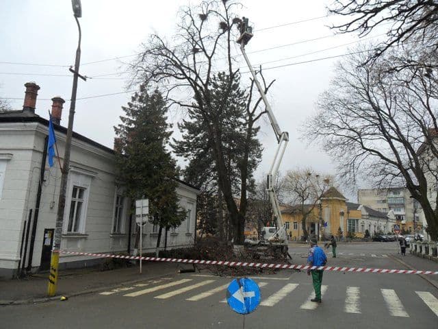Dorohoi curatenia de primavara (2)