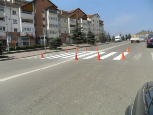 Dorohoi curatenia de primavara (5)