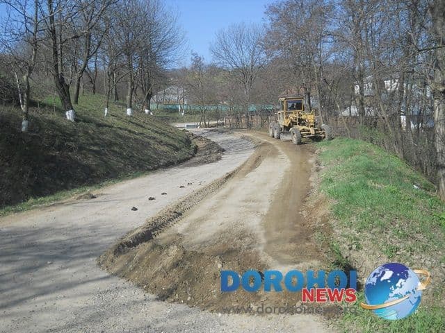Igienizare Ibanesti_04