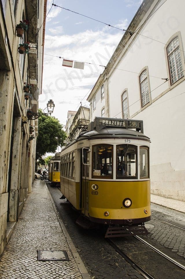 Dorohoieni castigatori la Lisabona_04