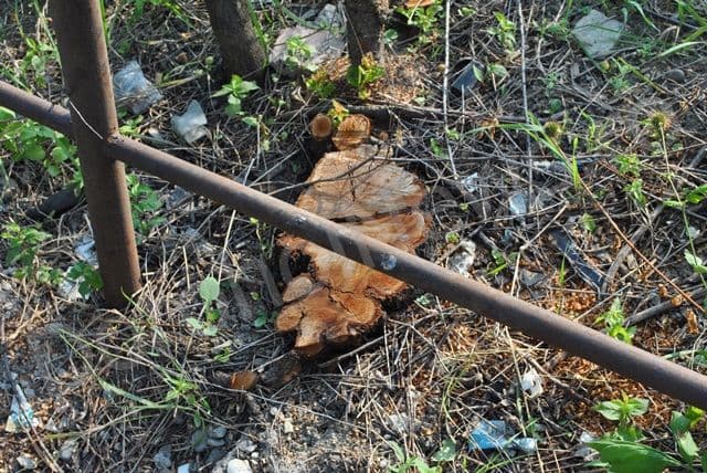Valea Tiganului din Dorohoi reabilitata_01