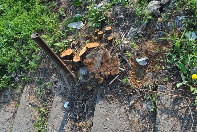 Valea Tiganului din Dorohoi reabilitata_03