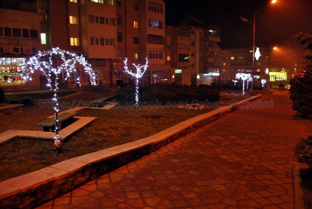 Luminite Dorohoi (2)