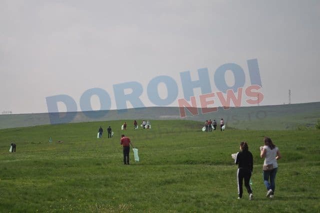 Ecologizare PSD Dorohoi_04