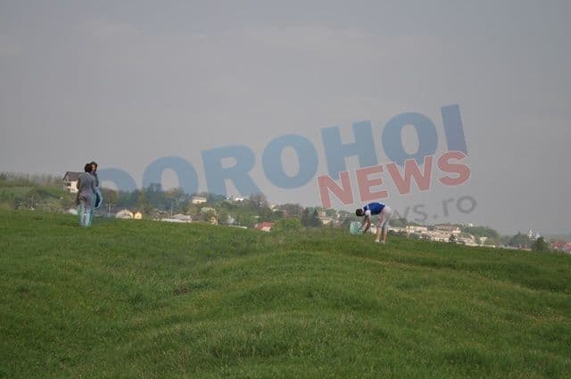 Ecologizare PSD Dorohoi_06