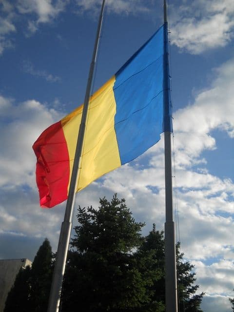 PNL Botosani (6)