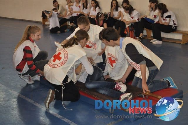 Sanitarii priceputi Dorohoi 2013_03