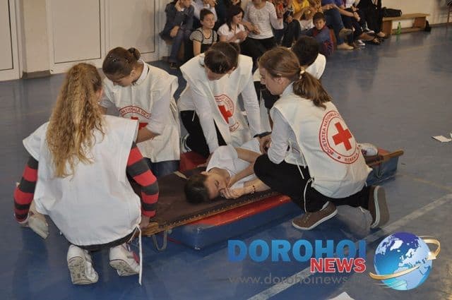 Sanitarii priceputi Dorohoi 2013_02