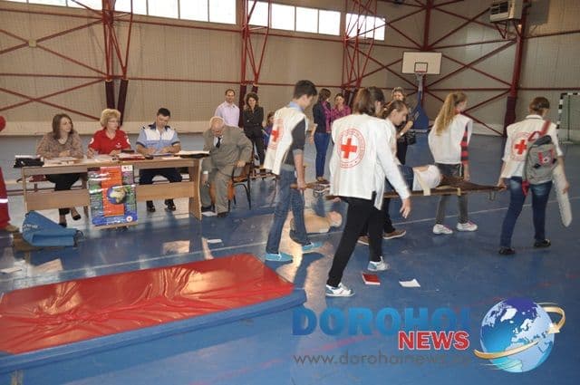 Sanitarii priceputi Dorohoi 2013_08