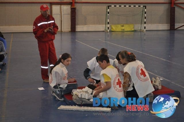 Sanitarii priceputi Dorohoi 2013_12