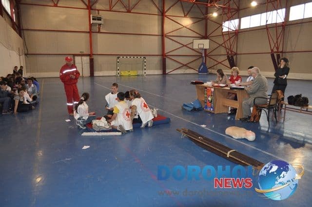 Sanitarii priceputi Dorohoi 2013_13