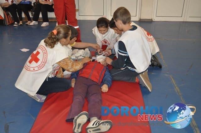 Sanitarii priceputi Dorohoi 2013_14