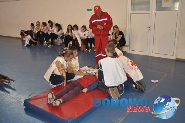 Sanitarii priceputi Dorohoi 2013_15