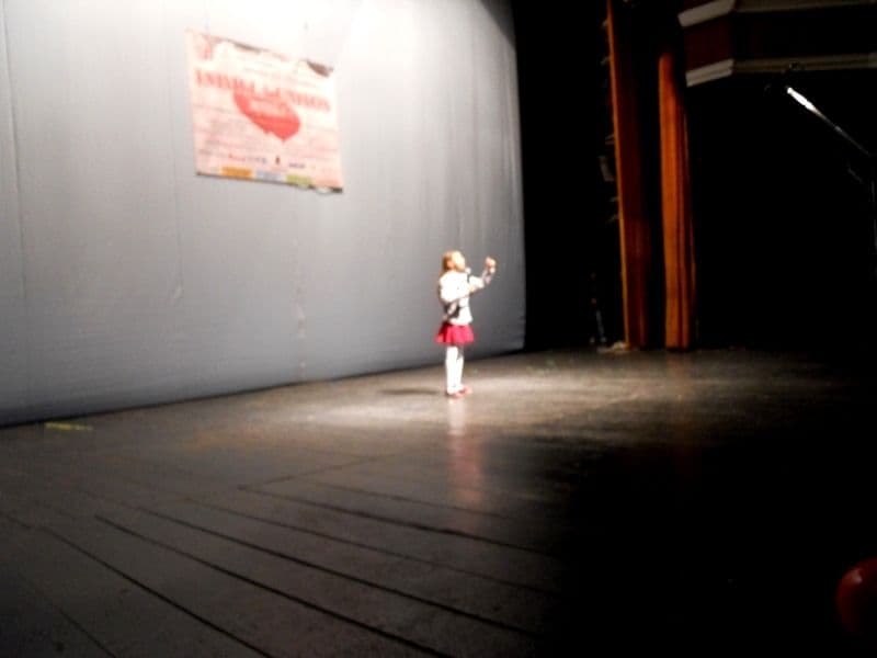 Festivalul concurs - Suflet de artist (6)