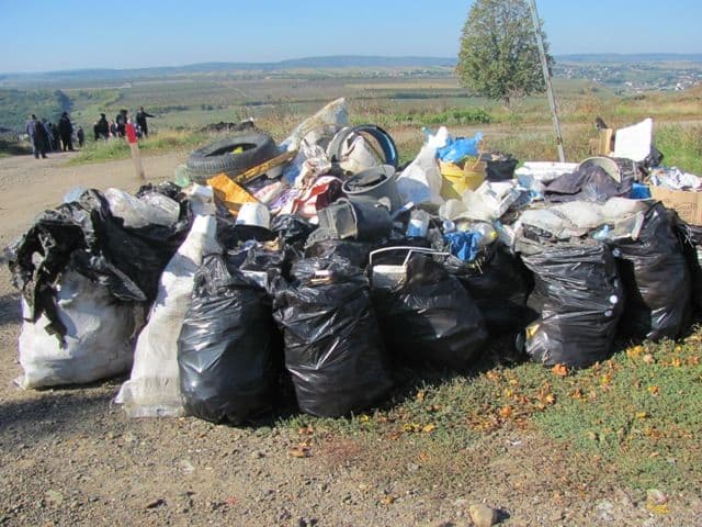 botosani Ziua Curateniei Nationale (5)