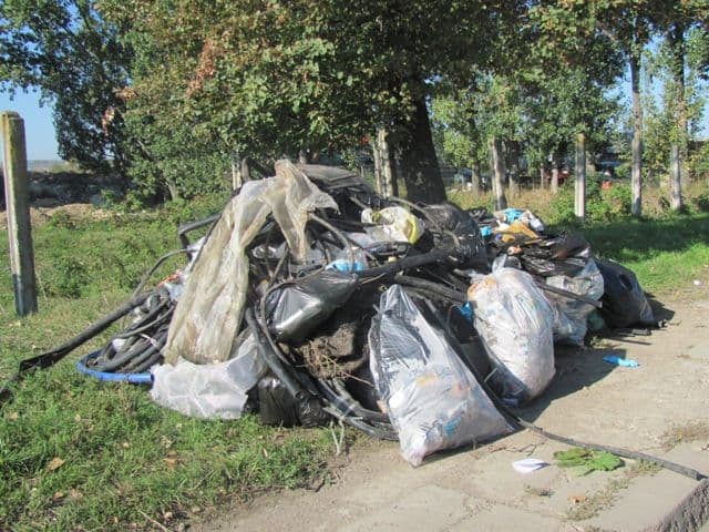 botosani Ziua Curateniei Nationale (6)
