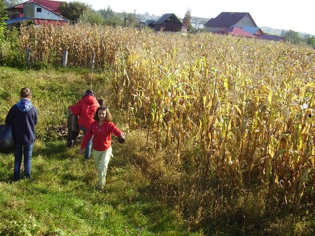 Scoala nr 1 Dorohoi ecologizare13