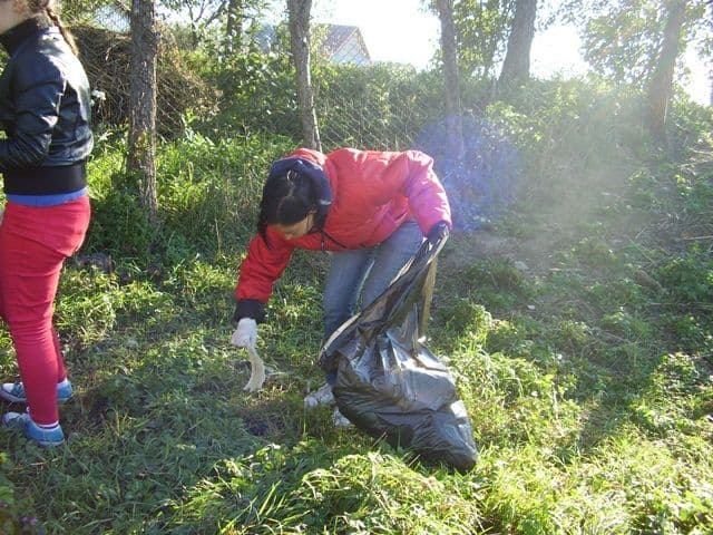 Scoala nr 1 Dorohoi ecologizare14