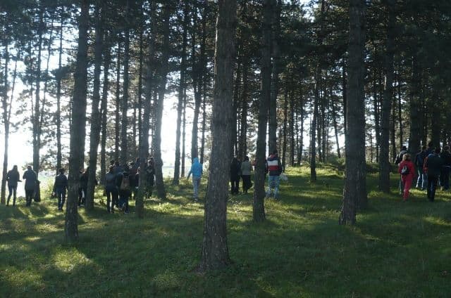 Grigore Ghica dorohoi ecologizare (8)