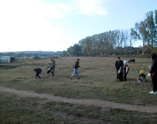 Ecologizare 06