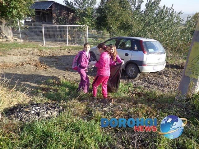 LDIR Scoala A.I.Cuza Dorohoi_03