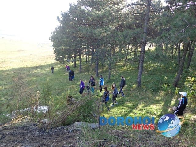 LDIR Scoala A.I.Cuza Dorohoi_08
