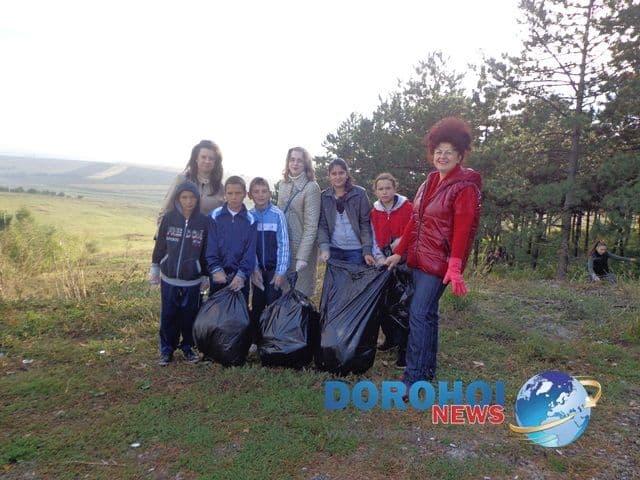 LDIR Scoala A.I.Cuza Dorohoi_12