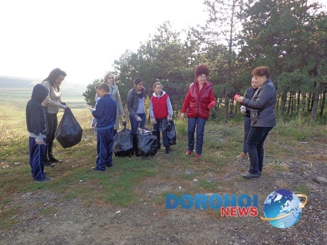 LDIR Scoala A.I.Cuza Dorohoi_13