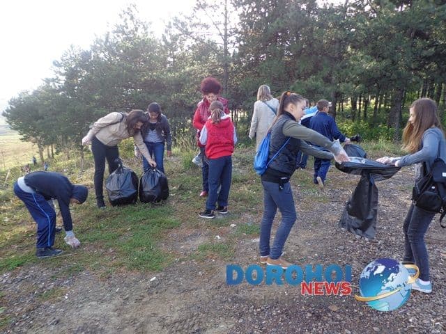 LDIR Scoala A.I.Cuza Dorohoi_14
