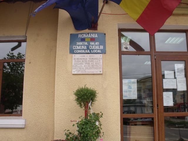 ajutoare sinistrati (6)