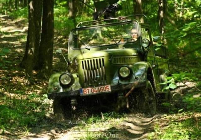 Lupta pentru Codrii de Arama (2)