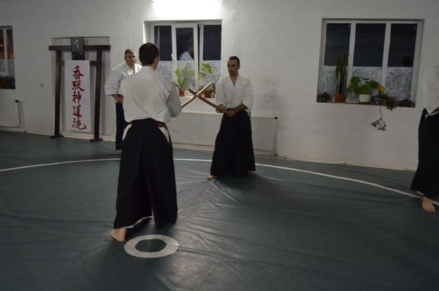 Seminat international la Botosani_01