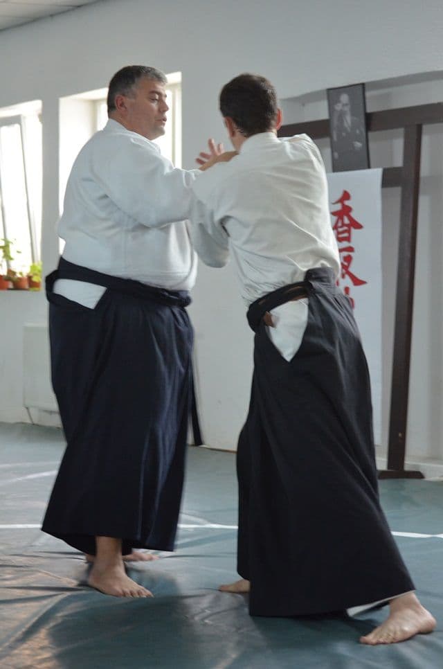 Seminat international la Botosani_10