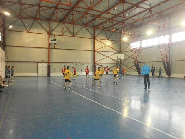 ONSS Handbal gimnaziu Dorohoi_2