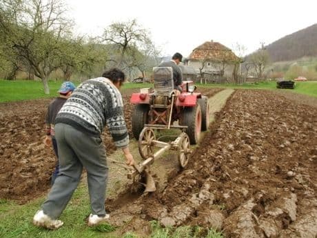 Fermierii vor primi până pe 15 februarie toți banii necesari înființării culturilor de primăvară