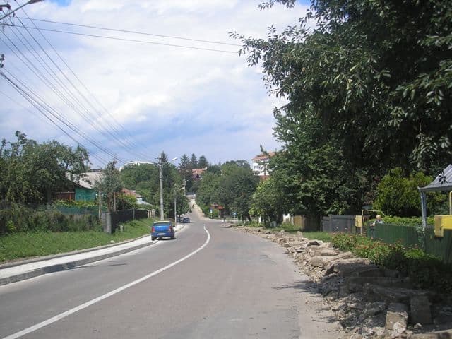 Dorohoi – File de istorie - Personalităţi din luna ianuarie: Manoliu C. Ion (1897-1925) - pictor