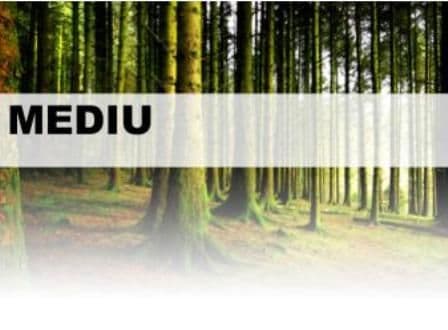 Ocolul Silvic Dorohoi: Anunț revizuire autorizație de mediu OS Dorohoi