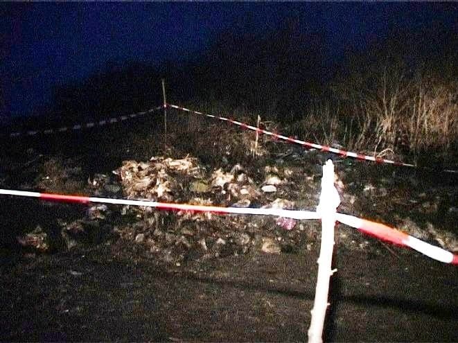 Descoperire macabră la Suharău. Zeci de leşuri de cai la marginea unui drum comunal 