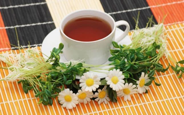 Ceaiul potrivit pentru orice tulburare: ghimbirul taie foamea şi menta linişteşte stomacul