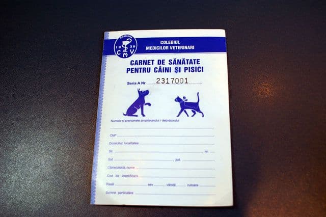 Autorităţile au decis! Vezi ce eşti obligat să faci de pe 15 martie când ieşi cu câinele la plimbare