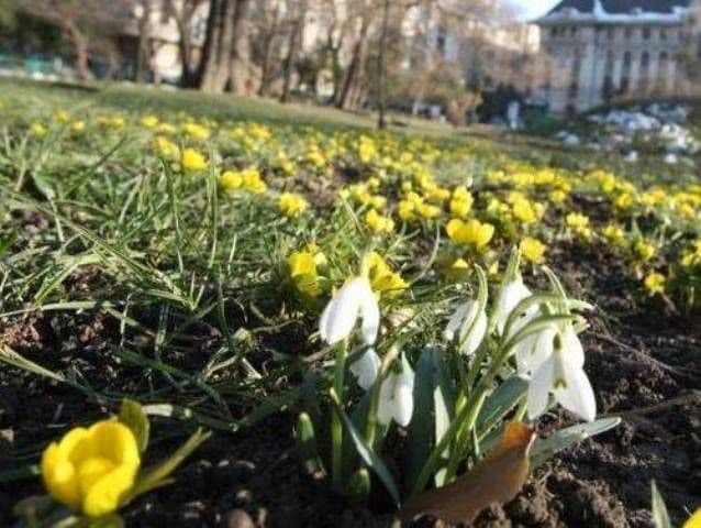 Temperaturile vor depăşi 20 de grade în următoarea săptămână. Vezi prognoza meteo până în 30 martie