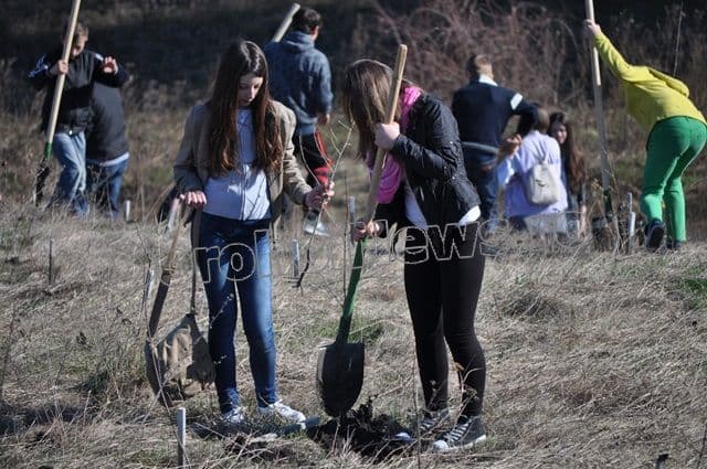 „România prinde rădăcini” la Dorohoi: Voluntariat pentru completarea plantației – VIDEO/FOTO