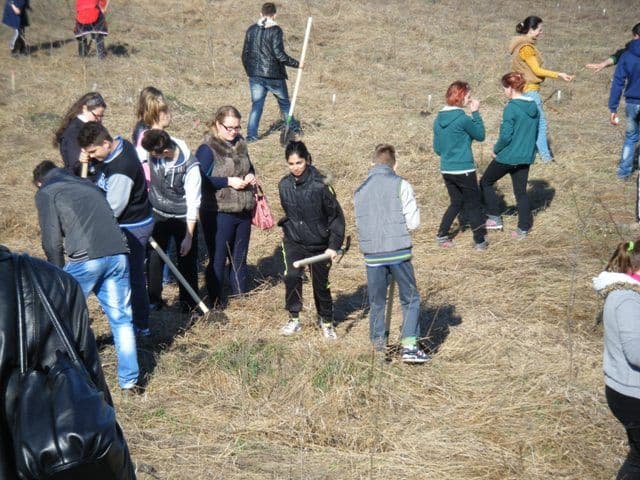 Acțiune de voluntariat a elevilor și profesorilor de la Liceul Al. Vlahuță Șendriceni - FOTO