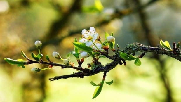 Prognoza meteo pentru trei zile. Cu ce vreme începe săptămâna