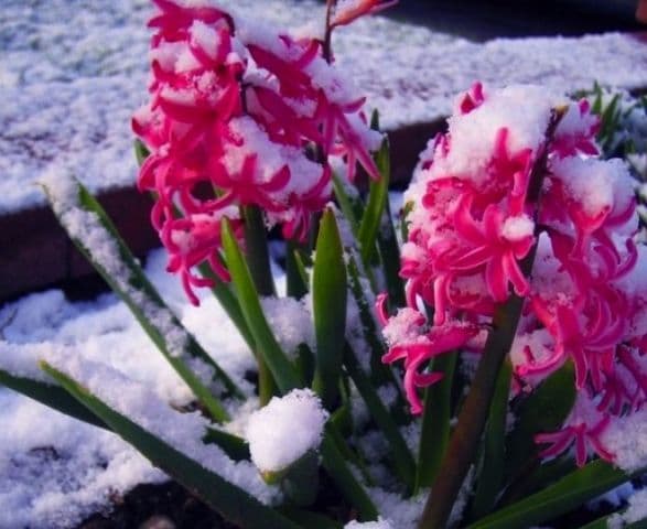 Prognoza meteo. Temperaturile scad cu 10 grade în acest weekend
