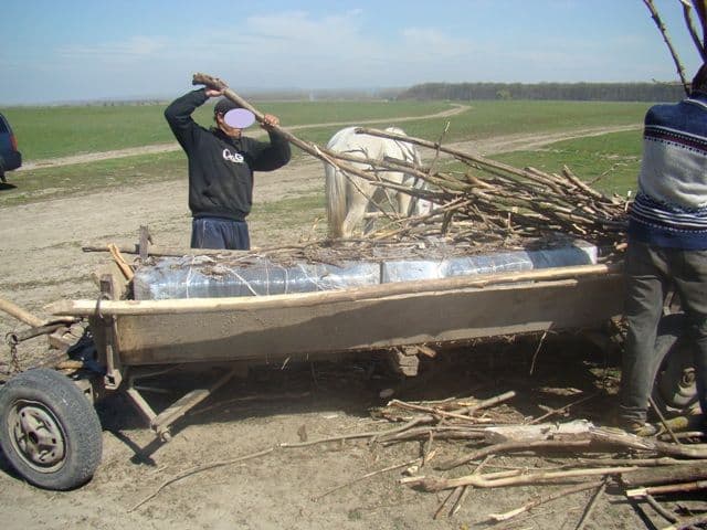 Mii de pachete de ţigări de contrabandă ascunse în căruţă, sub vreascuri - FOTO
